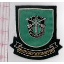 10th Group Special Forces Bullion Pocket Patch 