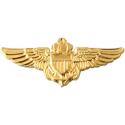 Navy Aviator Pin