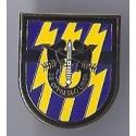 12th Special Forces Group Pin