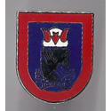 505th Para Infantry Airborne Pin