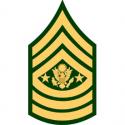 Army E9 Command Sergeant Major Rank Patch