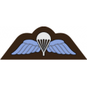 RAF Airborne Wings Decal      