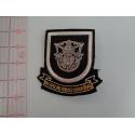  Special Forces Group (Post Black Flash) Large Bullion Pocket Patch
