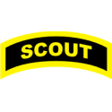 Scout Tab Decal  (Gold on Black)