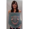 Special Forces 10th SF (Europe) Group all metal Sign  15 x 18" 