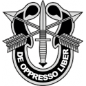 Special Forces Crest Decal
