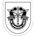 Special Forces Training Group Decal