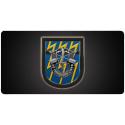 12th Special Forces Group  12 x 6" all Metal License Plate with holes