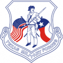 Texas Military Forces Decal