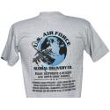 Air Force Global Delivery Silk Screened Grey Tee Shirt