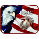 USMC Eagle with Border  Decal      