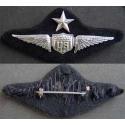 WWI Military Aviator Wing Sterling Meyer design