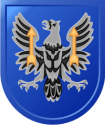 11th Theater Aviation Command Decal   