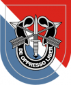 11th Special Forces Group Decal 