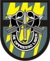 12th Special Forces Group Decal