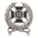 Expert Shooting Badge