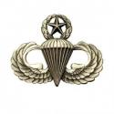 Master Parachutes Wings Silver Oxide (Full Size) Master Parachutes Wings Silver Oxide (Full Size)