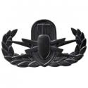 Explosive Ordnance Disposal EOD Basic Black Metal (Full Size)
