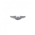  U.S. Air Force Enlisted Aircrew Wings (Basic) Mini Silver Oxide Finish.