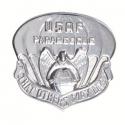 US Air Force Pararescue Badge