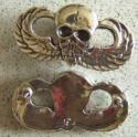 Vietnam MACV SOG Skull Paratrooper Wings Sterling 