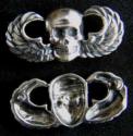 Vietnam SF MACV SOG Skull Paratrooper Wings Sterling
