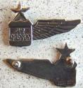 Vietnam Air America Stewardess Wings Sterling Silver