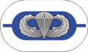 1st Battalion 325th Infantry Regiment Oval with Jump Wings Decal