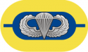 1st Battalion 504th Parachute Infantry Regiment Oval  Decal