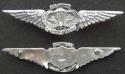 Vietnam US Army SF wing Badge Sterling Air Borne 