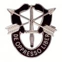 Special Forces Crest Pin