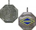 75th Ranger Regiment Medallion  