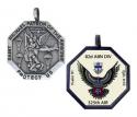 325th Airborne Infantry Regiment Medallion