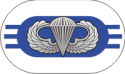 3rd Battalion 325th Infantry Regiment Oval with Jump Wings Decal