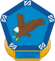 3rd Aviation Co Decal     