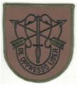 Special Forces Crest Patch OD