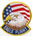 F-15 Eagle Flight Patch