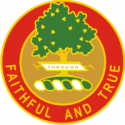 5th Field Artillery Regiment DUI