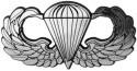 ARMY PARATROOPER WINGS CHROME PLATED AUTO EMBLEM DECAL