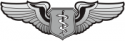 Air Force Flight Surgeon Basic Decal