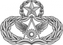 AF Master Civil Engineer Badge (Silver)  Decal      