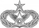 AF Senior Civil Engineer Badge (Silver)  Decal      