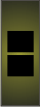 Army CW2 Chief Warrant Officer 2 (Subdued)