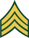 Army E-5 SGT Sergeant