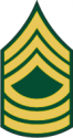 Army E-8 MSG Master Sergeant Decal