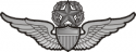 Army Master Aviator Wings