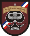 Army Paratrooper Org - 2 Decal  
