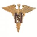 Army Nurse Insignia Insignia (SET)