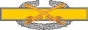 Combat Cavalry Badge