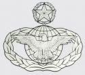 Air Force Master Law Enforcement Decal